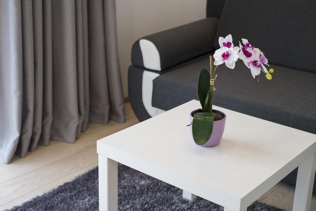 Apartamenty Comfort & Spa Stara Polana Vipapartamenty 자코파네 외부 사진